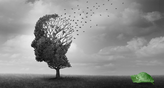 Alzheimer-kór és étrend